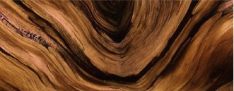 Textura de madeira