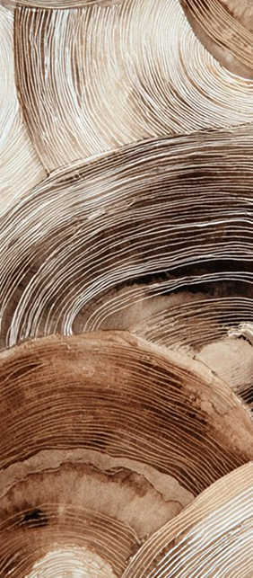 Textura natural em tons terrosos